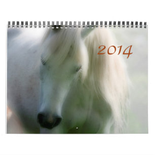 2014 Arabians - Joy of life Calendar