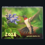 2014 Art Calendar by Aartvarks Studios<br><div class="desc">A great little 2014 calendar full of original art by Wendy Carter & Conni Brenner of Aartvarks Studios. Once the year is over,  you can frame the pictures or cut them up and use them in your next crafting project.</div>