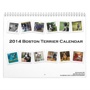 2014 Boston Terrier Calendar