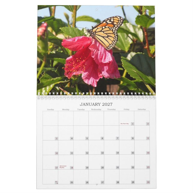2014 Butterfly Calendar (Jan 2027)