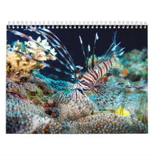 2014 Coral Sea Calendar