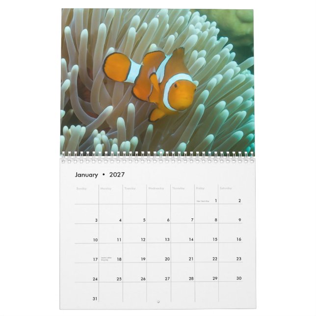 2014 Coral Sea Calendar (Jan 2027)