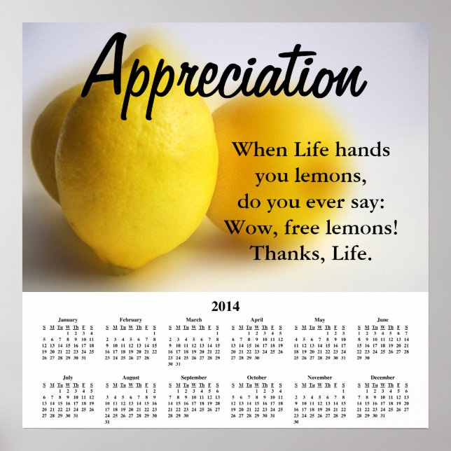 2014 Demotivational Calendar Appreciation Poster (Front)