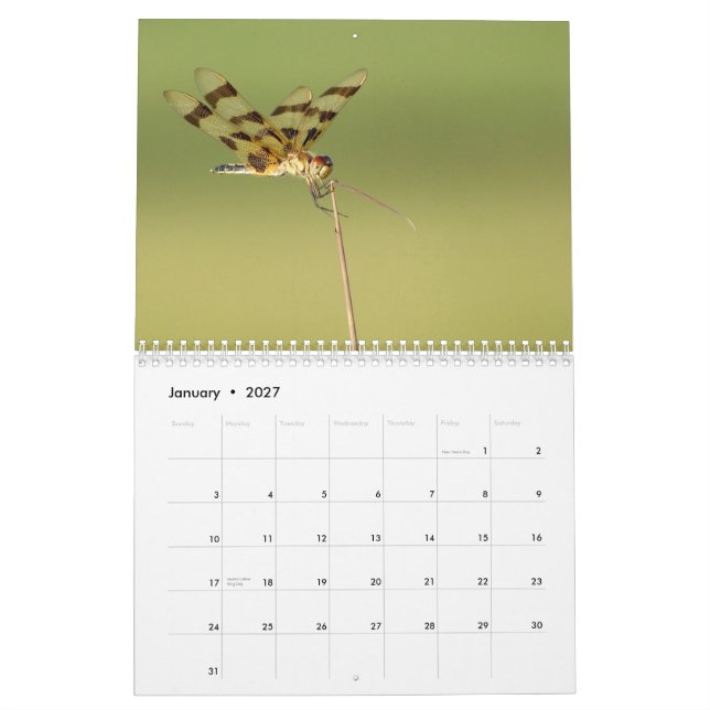 2014 Dragonflies and Damselflies Calendar (Jan 2027)