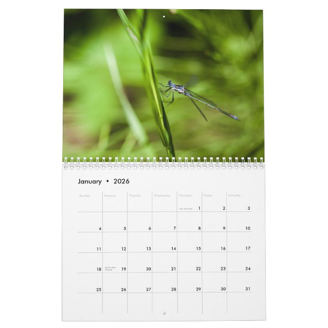 2014 Dragonfly and Damselfly Calendar (Jan 2026)