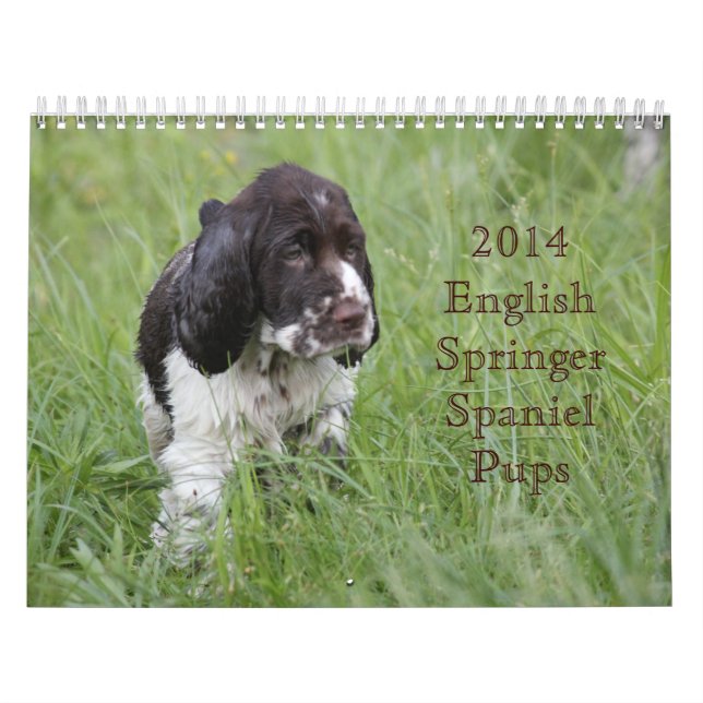 2014 English Springer Spaniel Pups Calendar (Cover)