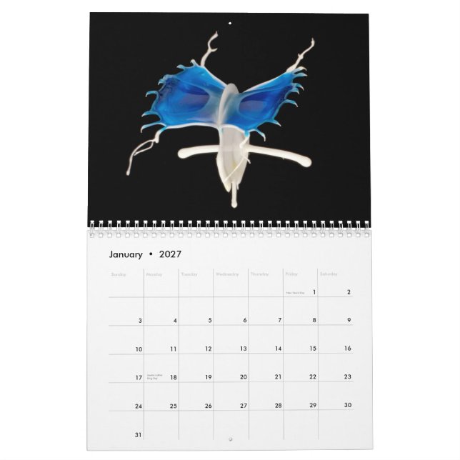 2014 Liquids-in-Motion Calendar (Jan 2027)