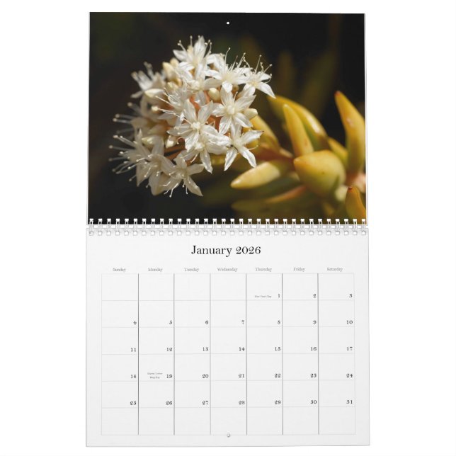 2014 Little Critters Calendar (Medium) (Jan 2026)