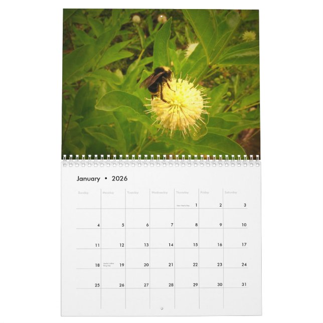 2014 My Garden Calendar (Jan 2026)