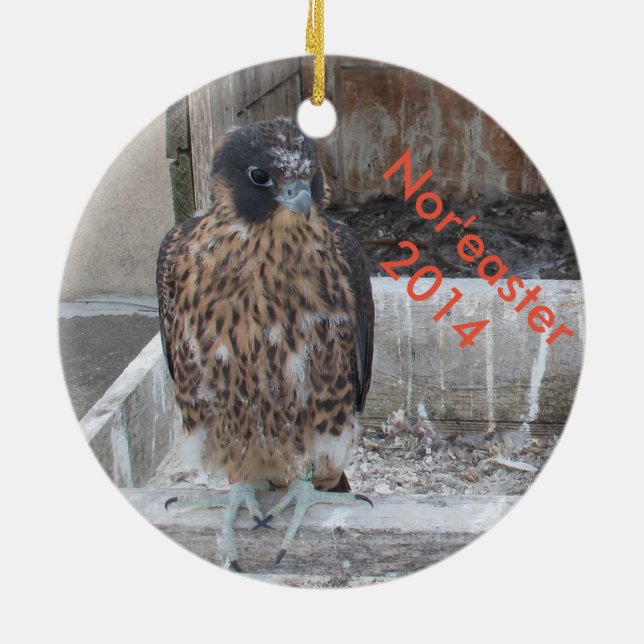 2014 Nor'easter Ornament (Back)