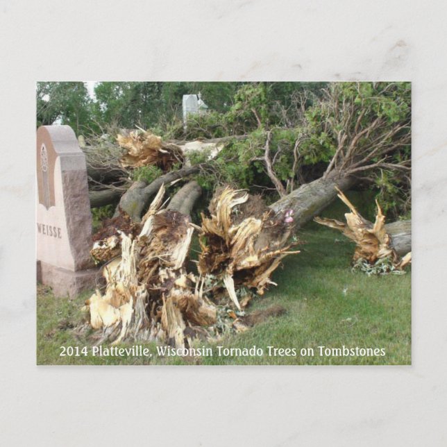 2014 Platteville, Tornadoes Memorabilia Postcard (Front)