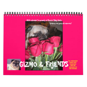 2014 PUG RESCUE CALENDAR