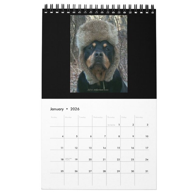 2014 Rottweilers By Diane Calendar (Jan 2026)