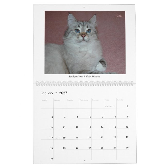 2014 Siberians Cats & Kittens Calendar (Jan 2027)