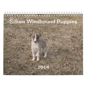 2014 Silken Windhound Puppies 1-2 Calendar