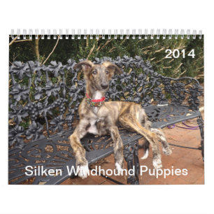 2014 Silken Windhound Puppies 2-4 Calendar