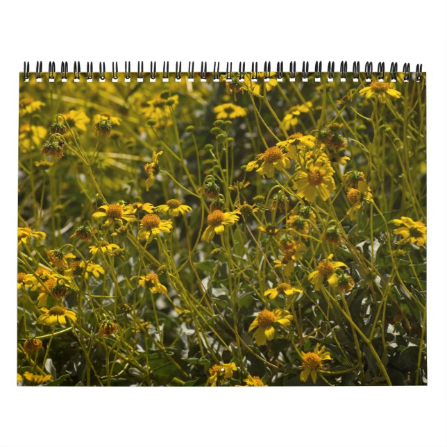 2014 Wildflower Scripture Calendar (Cover)