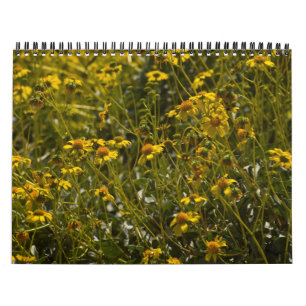 2014 Wildflower Scripture Calendar
