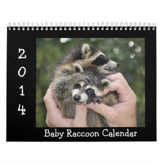 2014 Wildlife Calendar - Baby Raccoons