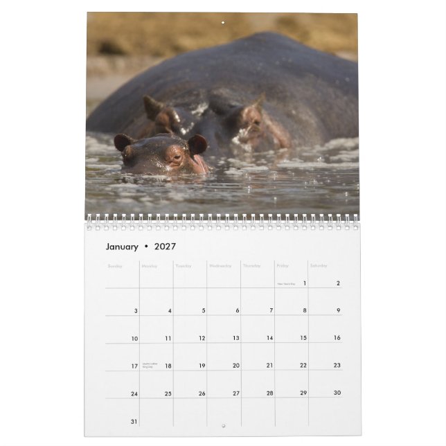 2015 Africa Calendar by McDonald Wildlife (Jan 2027)