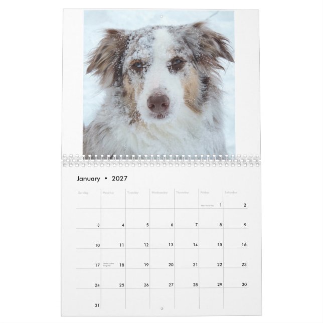 2015 Bellatheaussie Calender Calendar (Jan 2027)