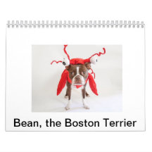 2015 Boston Terrier Calendar
