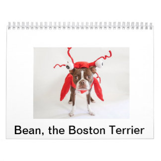 2015 Boston Terrier Calendar