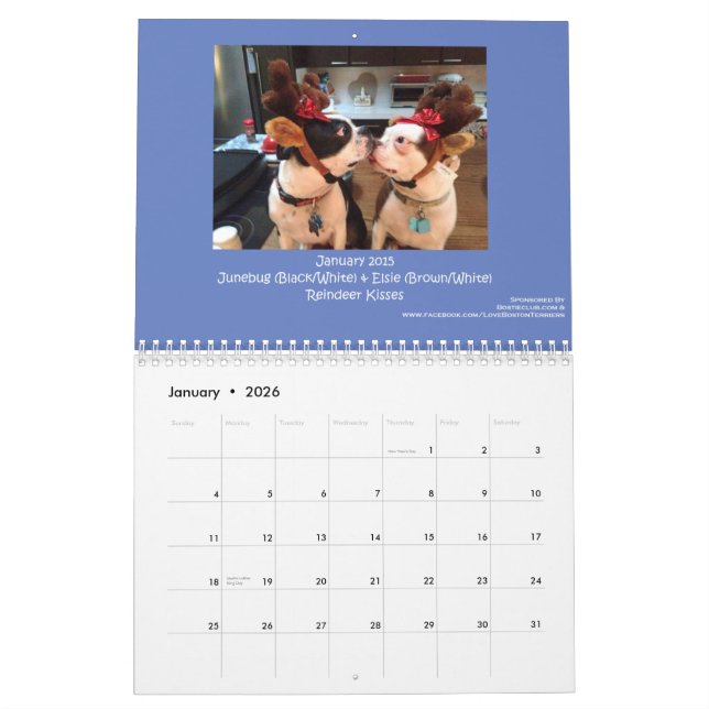 2015 Boston Terrier Calendar (Jan 2026)