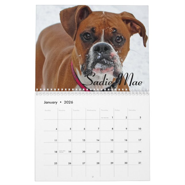 2015 Boxer Calendar (Jan 2026)