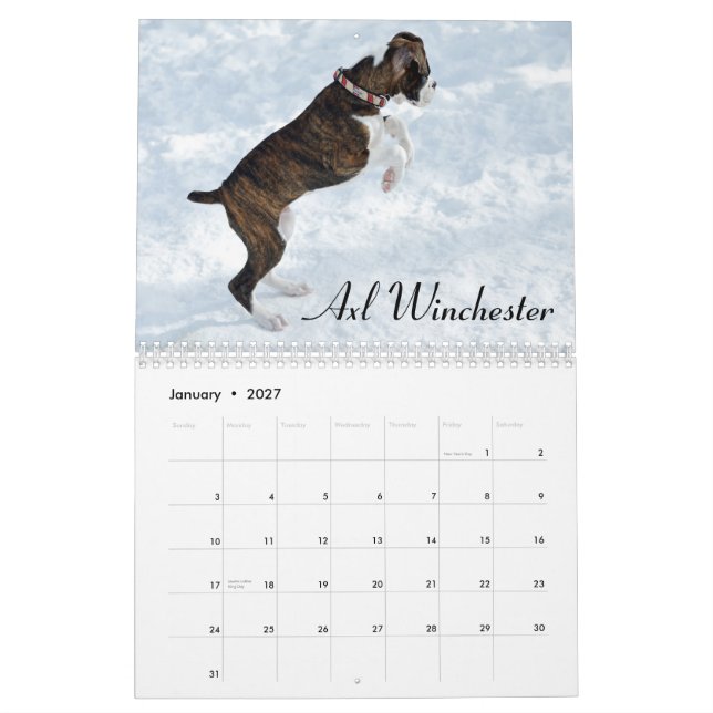 2015 Boxer Puppy Love Calendar (Jan 2027)