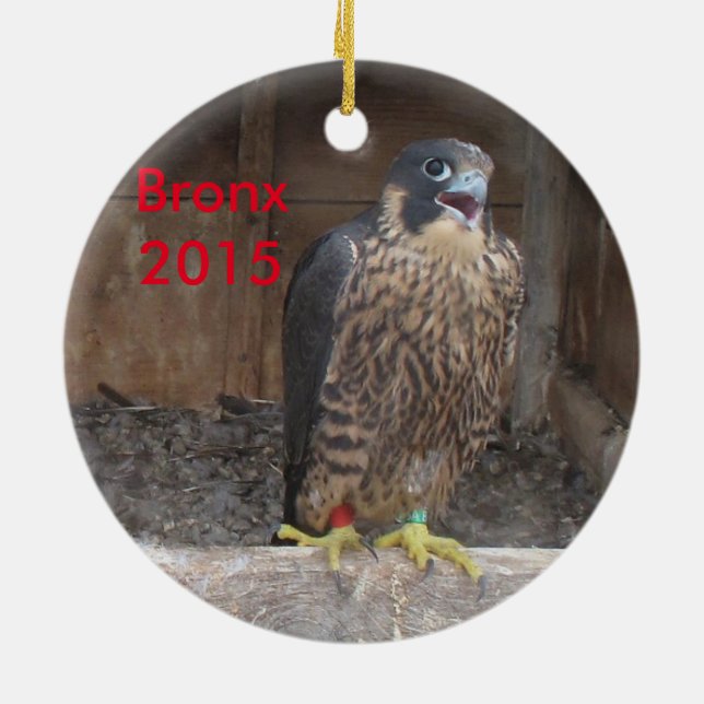 2015 Bronx Ornament (Back)