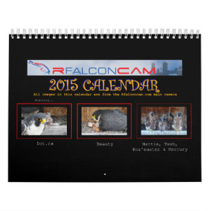 2015 Calendar - Main Cam Collages