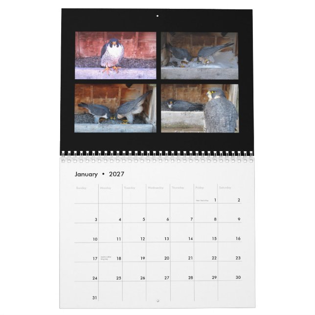 2015 Calendar - Main Cam Collages (Jan 2027)