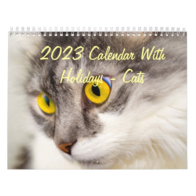2015 Calendar With Holidays - Cats (Cover)