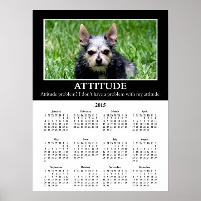 2015 Demotivational Wall Calendar: Bad Attitude Poster (Front)