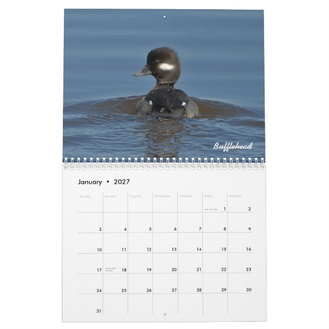 2015 Duck Calendar (Jan 2027)