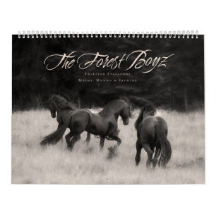 2015 Forest Boyz Calendar