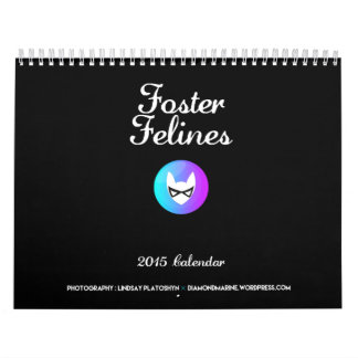 2015 Foster Felines calendar