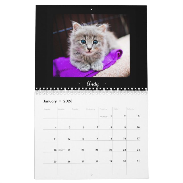 2015 Foster Felines calendar (Jan 2026)