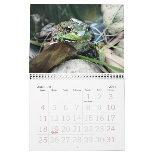 2015 Frog Calendar (Jan 2026)