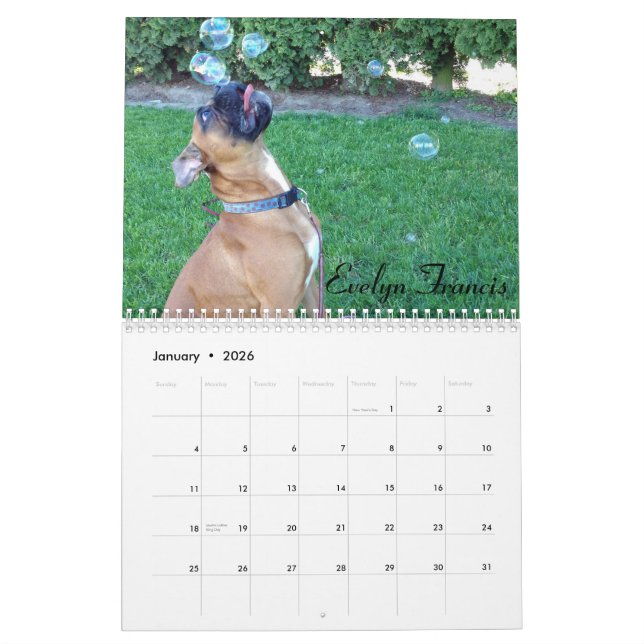 2015 Goofy Boxer Calendar (Jan 2026)