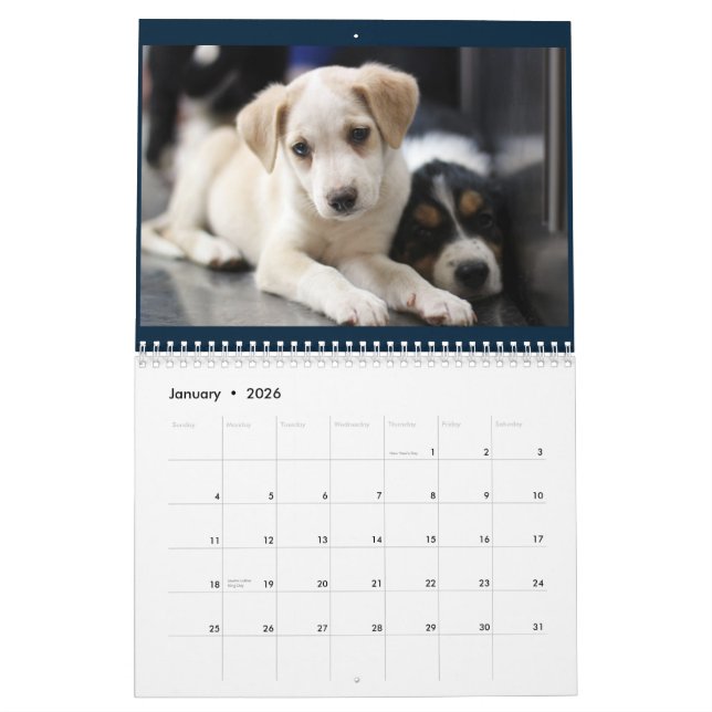 2015 Granite Hills Animal Care calendar (Jan 2026)