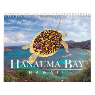 2015 Hawaii Calendar