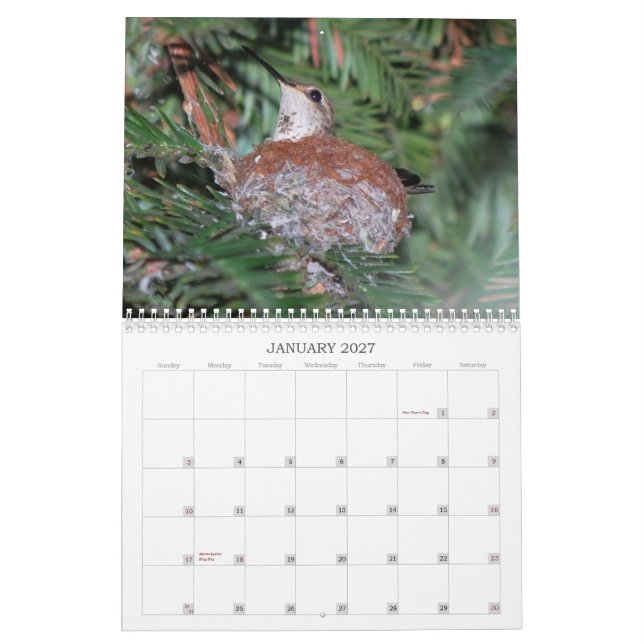 2015 Hummingbirds Calendar (Jan 2027)
