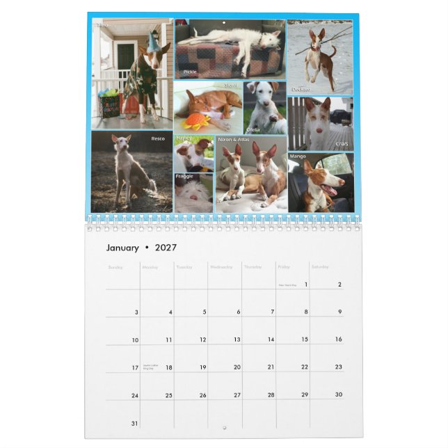 2015 Ibizan Hound Central Calendar (Jan 2027)