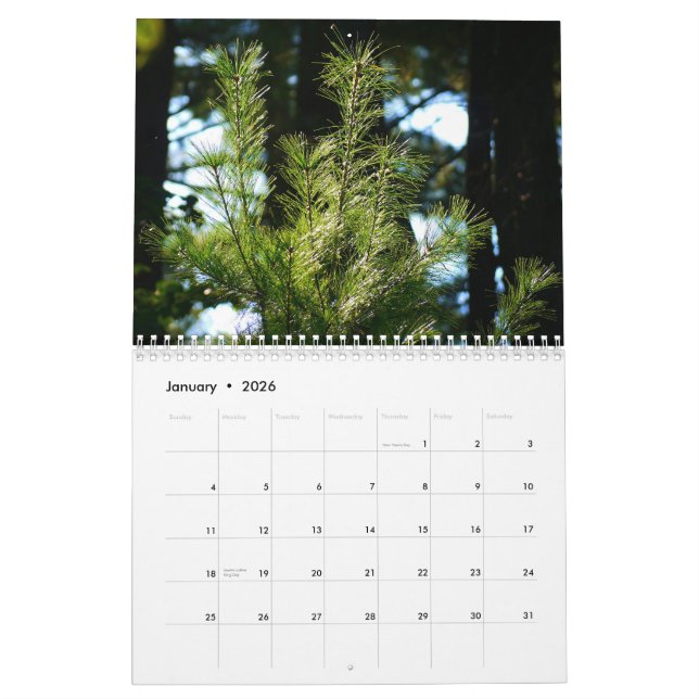 2015 life around us Calendar (Jan 2026)