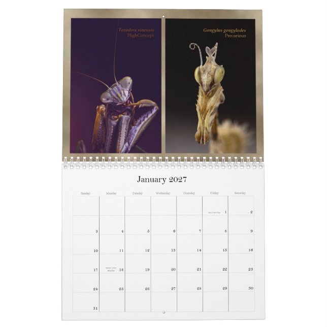 2015 Mantidforum.net Main Member Wall Calendar (Jan 2027)