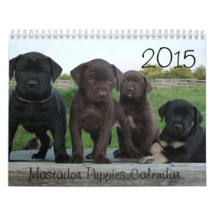 2015 Mastador Puppies Calendar