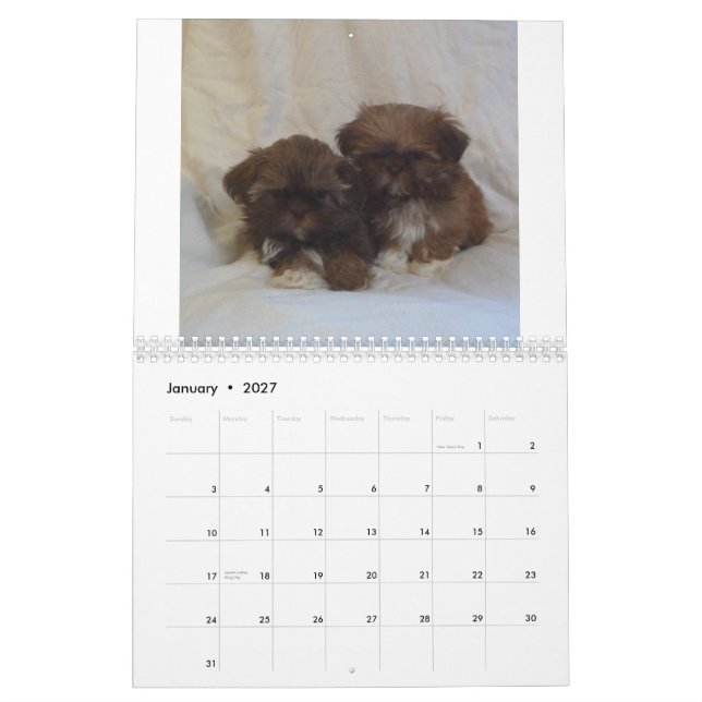 2015 Shih Tzu Puppy Calendar (Jan 2027)