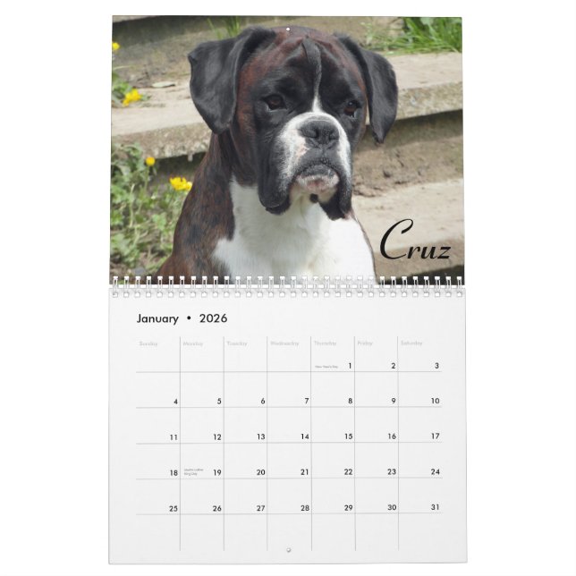 2015 Show Boxers Calendar (Jan 2026)